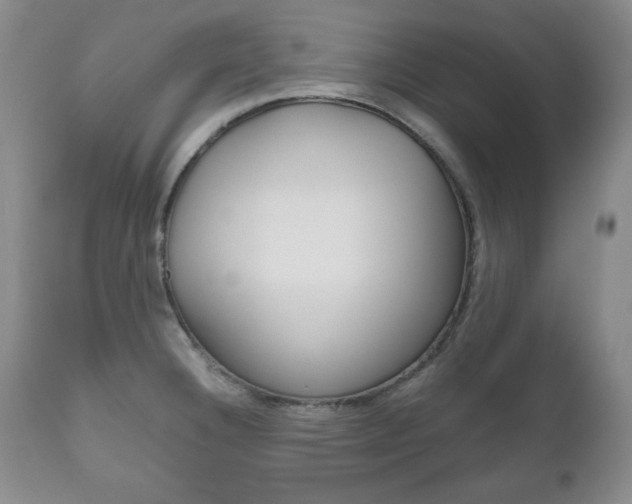 X0000111121332200906301033