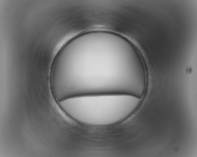 X0000111121333200906301033
