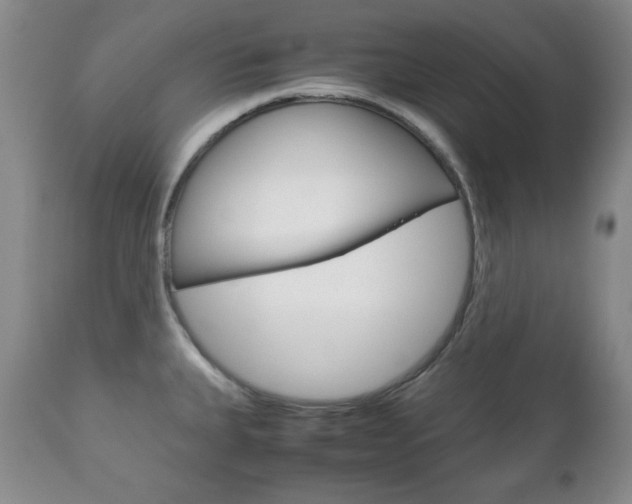 X0000111121335200906301033