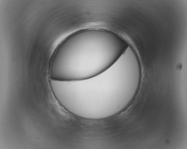 X0000111121336200906301033