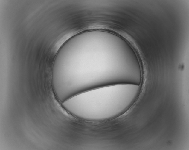 X0000111121337200906301033