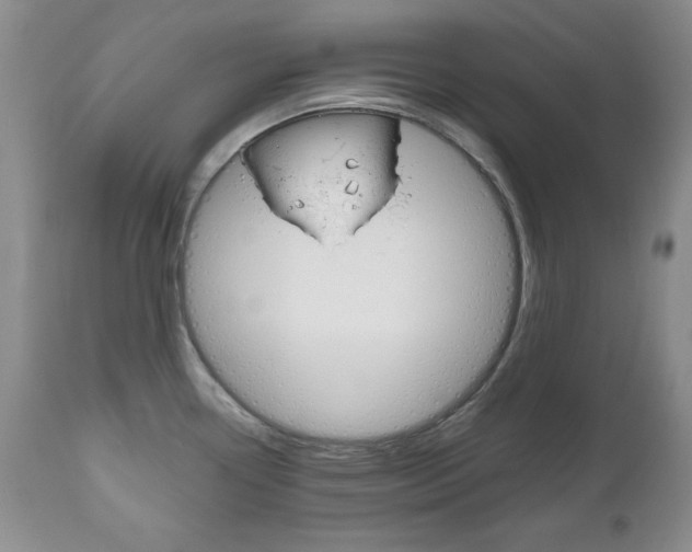 X0000111121338200906301033