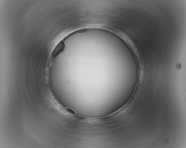X0000111121340200906301033