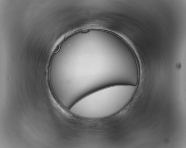X0000111121341200906301033