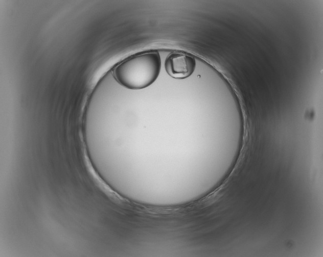 X0000111121342200906301033