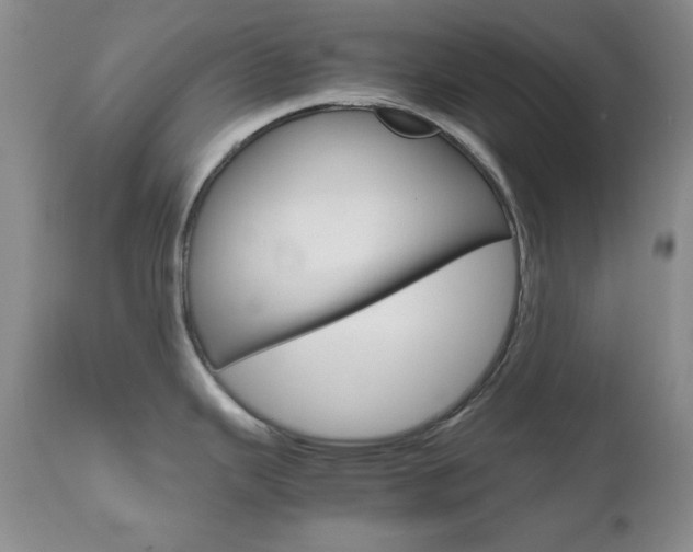 X0000111121343200906301033