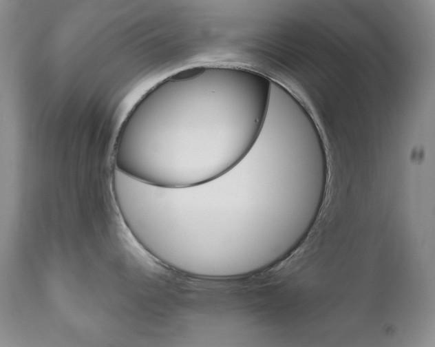 X0000111121344200906301033
