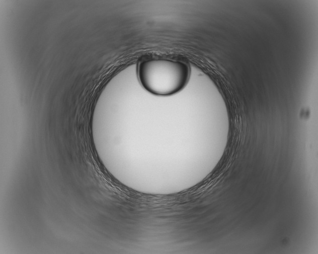 X0000111121345200906301032