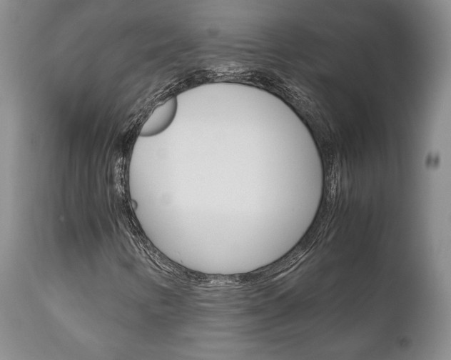 X0000111121346200906301032