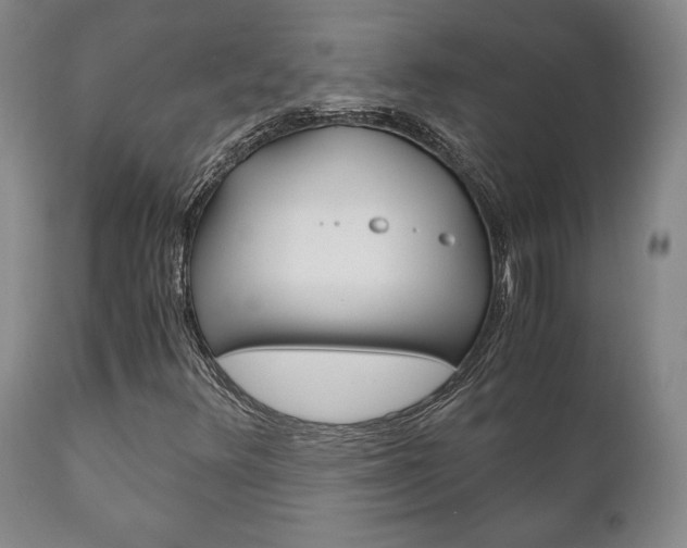 X0000111121348200906301032