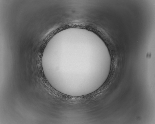 X0000111121350200906301032