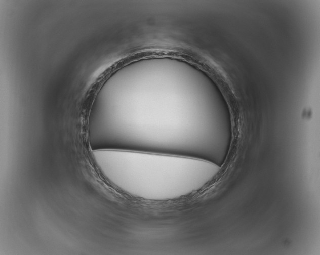 X0000111121352200906301032