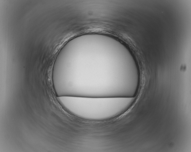 X0000111121353200906301032
