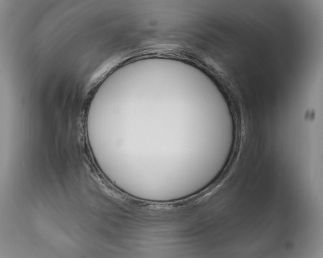 X0000111121354200906301032