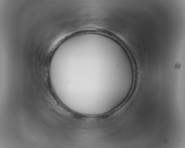 X0000111121355200906301032