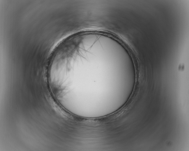 X0000111121356200906301032