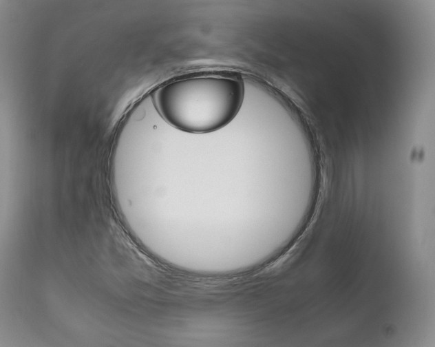 X0000111121357200906301032