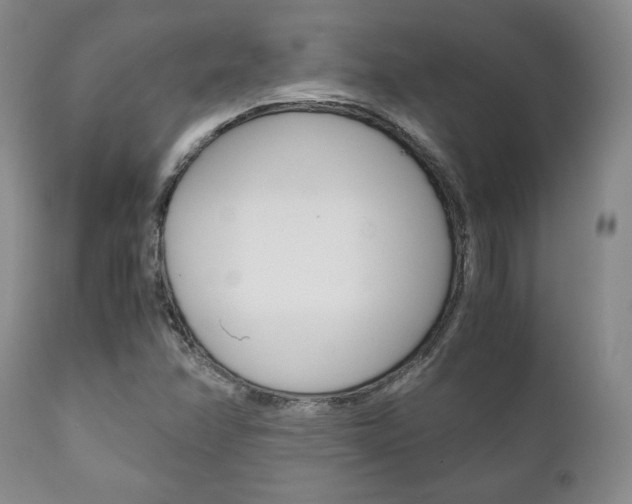 X0000111121358200906301032