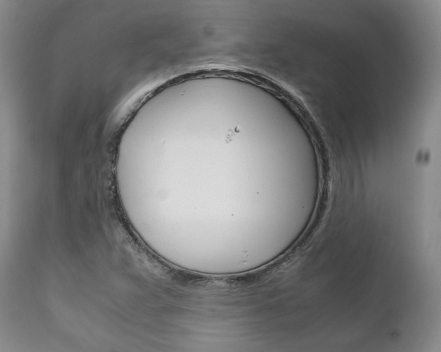 X0000111121359200906301032