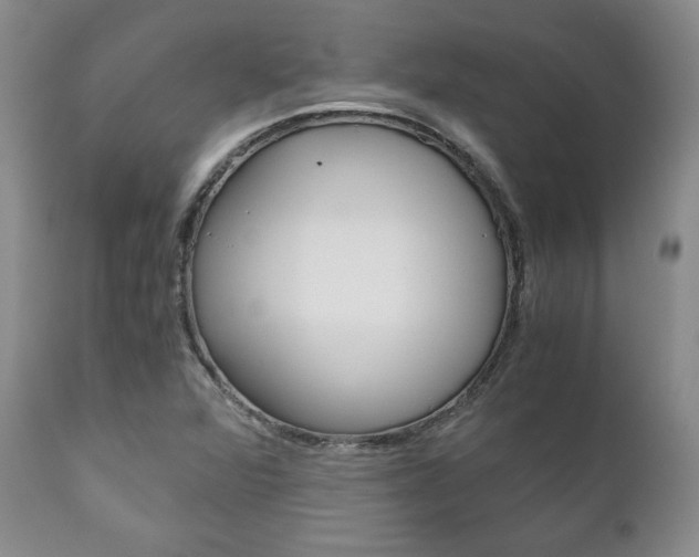 X0000111121360200906301032