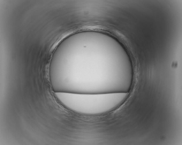 X0000111121361200906301032