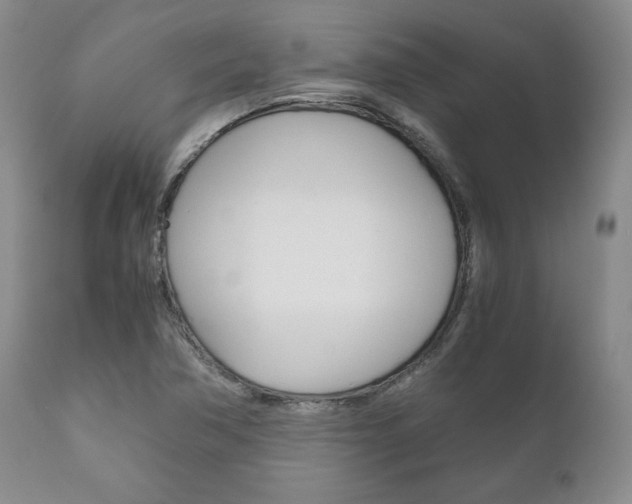 X0000111121362200906301032