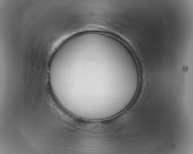 X0000111121363200906301032