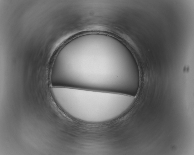X0000111121364200906301032