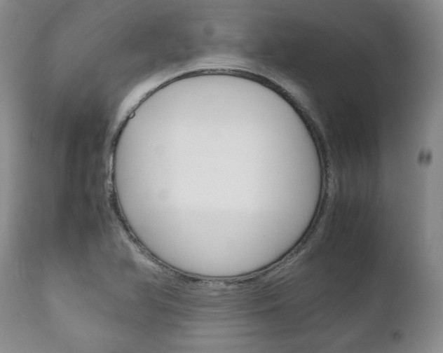 X0000111121366200906301032
