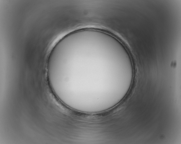 X0000111121367200906301032