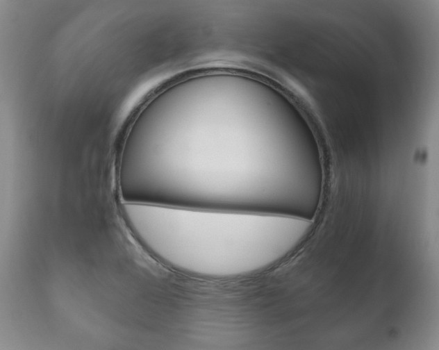 X0000111121368200906301032