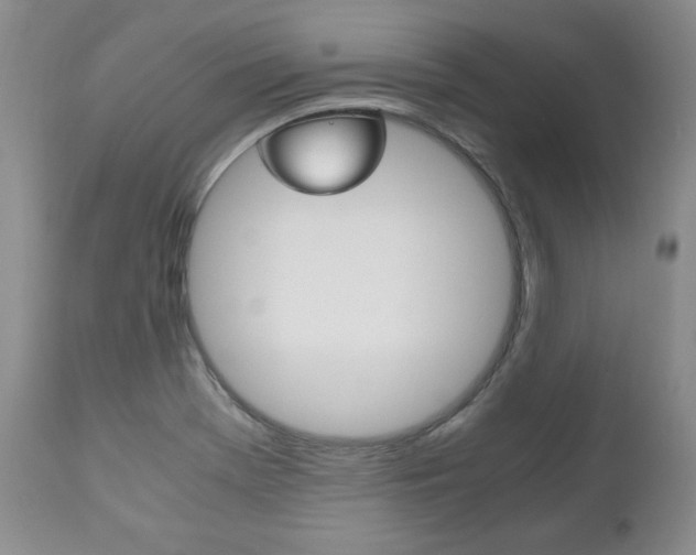 X0000111121369200906301032