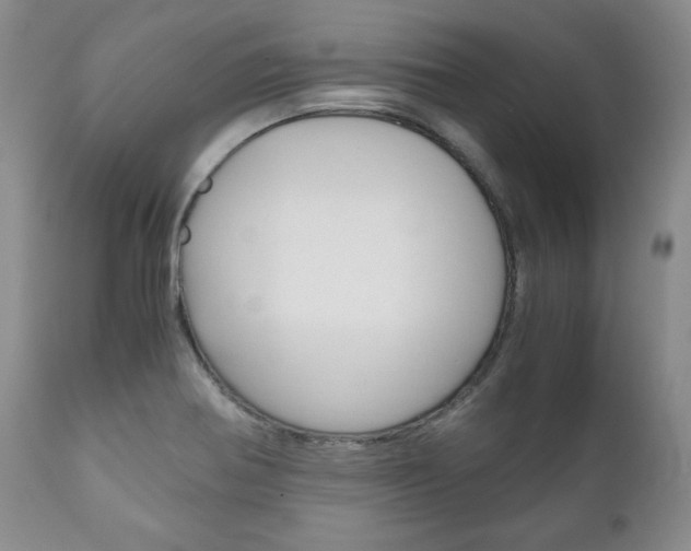 X0000111121370200906301032