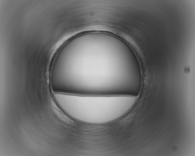X0000111121372200906301032