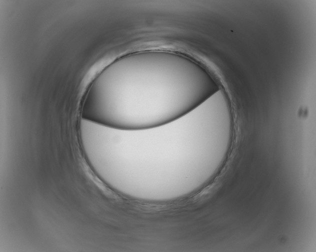 X0000111121373200906301032