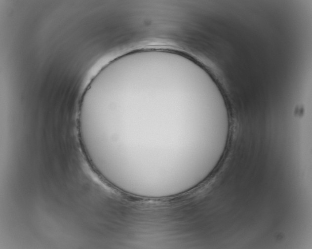 X0000111121374200906301032