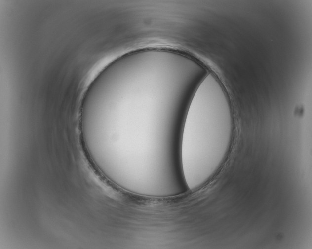 X0000111121375200906301032