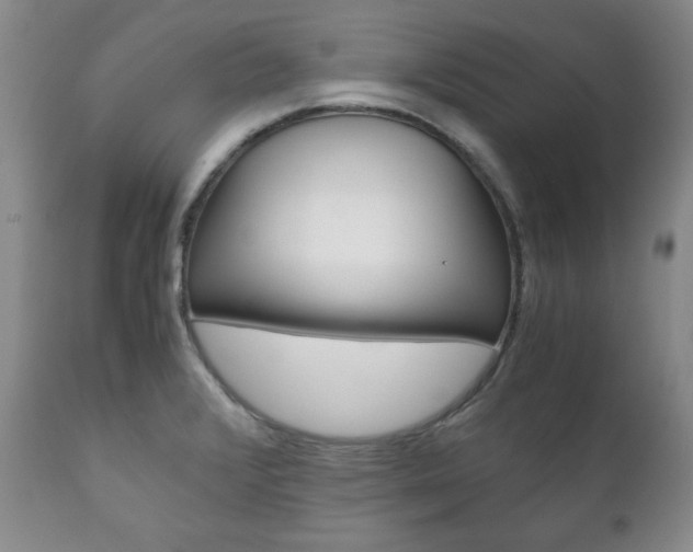 X0000111121376200906301032
