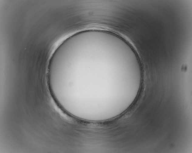 X0000111121379200906301032