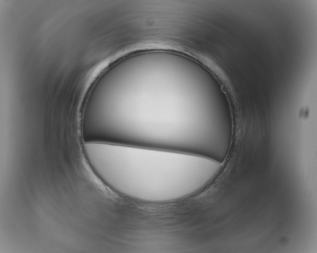 X0000111121380200906301032