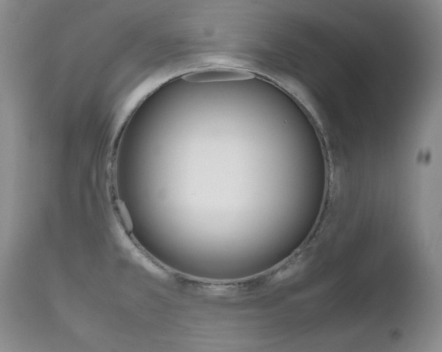 X0000111121381200906301032