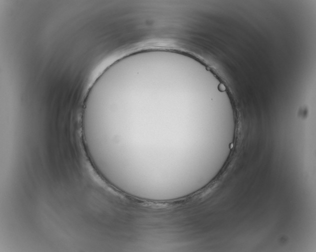 X0000111121382200906301032