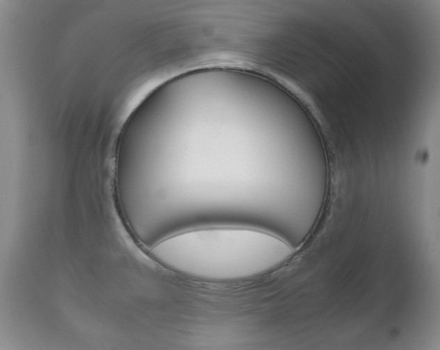 X0000111121383200906301032