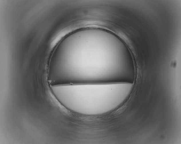 X0000111121384200906301032