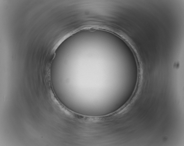 X0000111121385200906301032