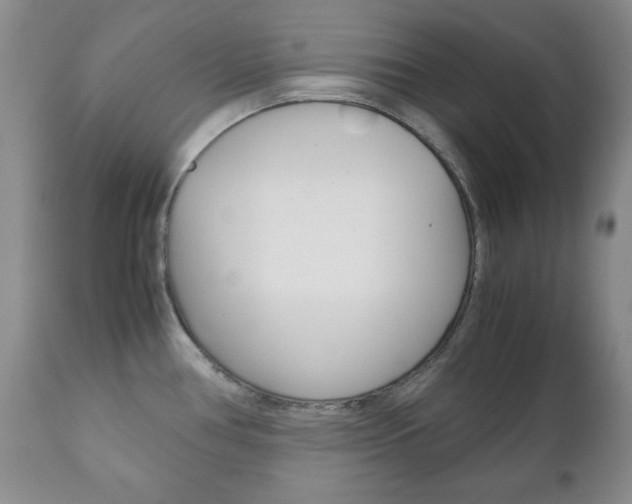 X0000111121386200906301031