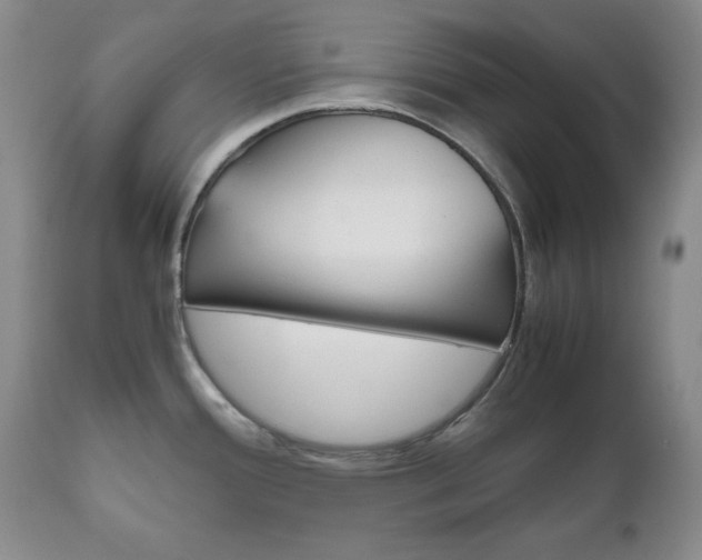 X0000111121388200906301031