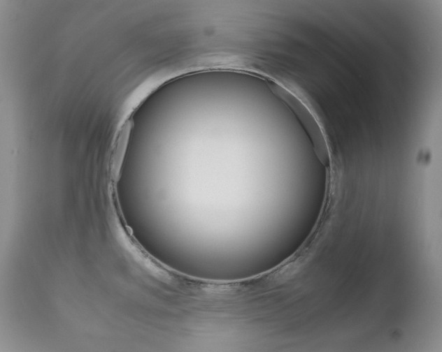 X0000111121389200906301031