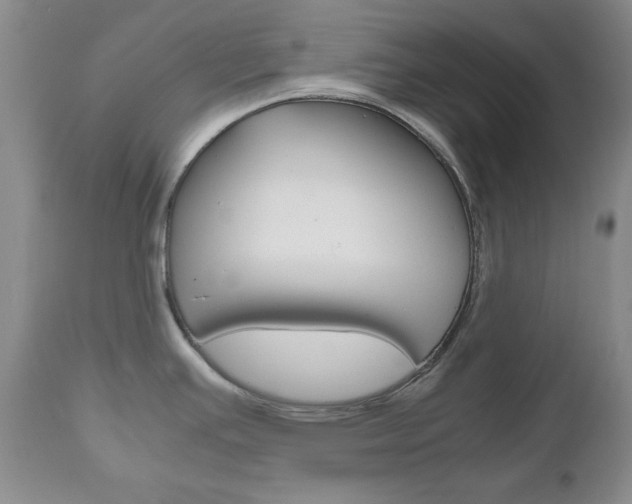 X0000111121391200906301031