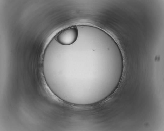 X0000111121392200906301031